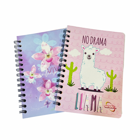 Escribe Cuaderno Jr Cuadros 100H
