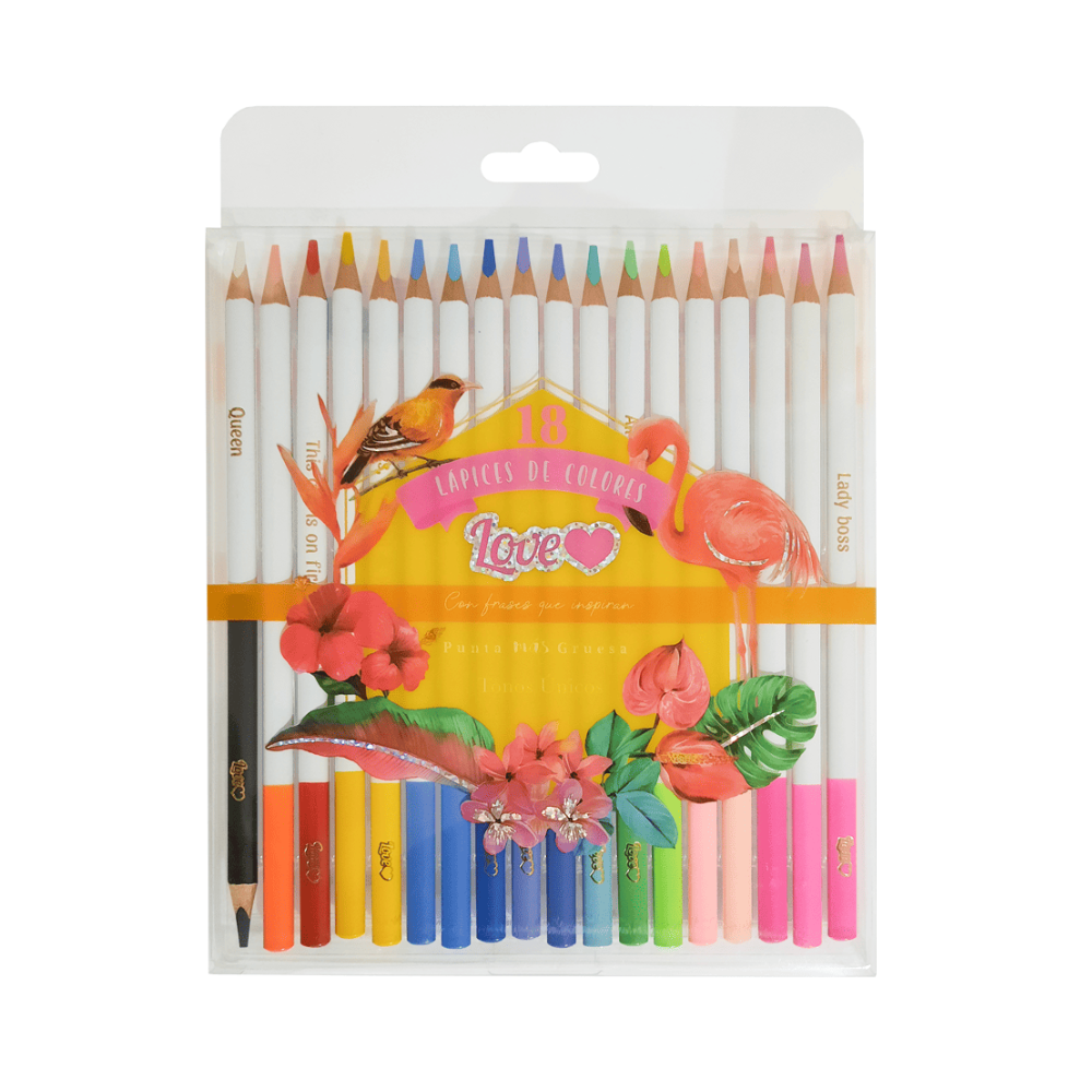 Estilo Love Caja de Lápices de 18 colores